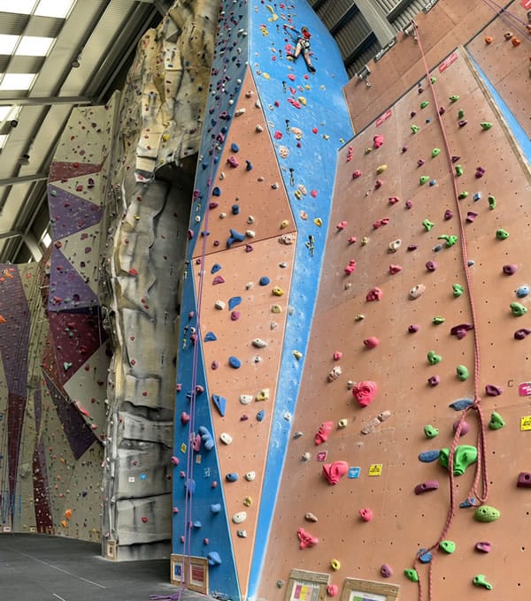 Boarding Millie climbing a high climbing wall at The XC in Hemel Hempstead.